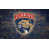 Florida Panthers