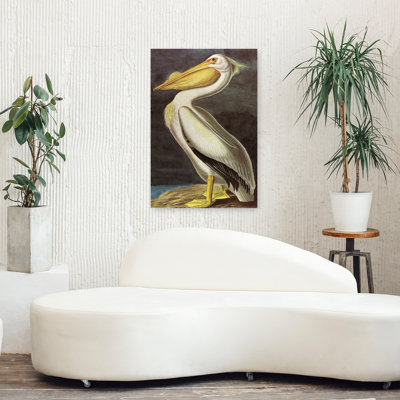 American White Pelican Classic Traditional Vintage Bird Pelican Portrait Wildlife Wall Art Print 1 Piece Wrapped Canvas Wall Art