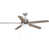 Antique Nickel with Driftwood Blades
