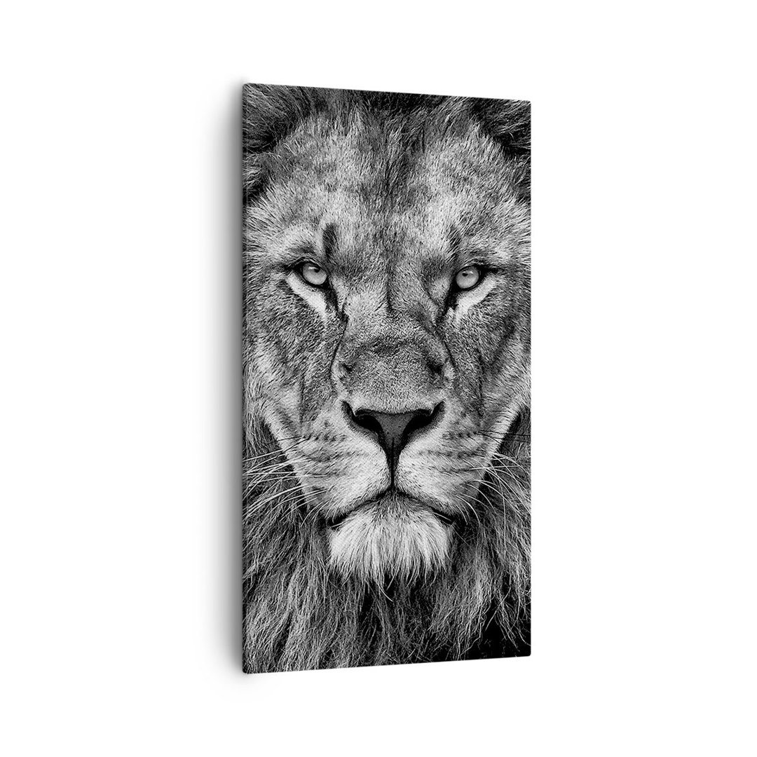 Leinwandbild Portrait Lion Black and White