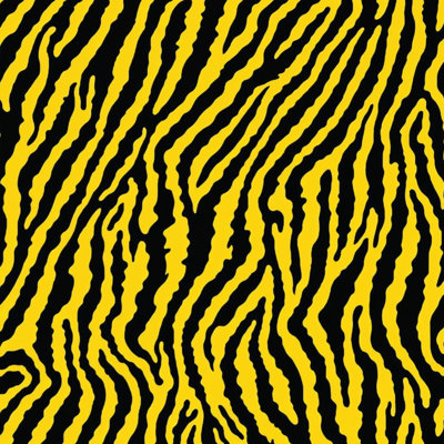 Coussins décoratifs Tiger