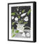 Peterloon Squatty Print by Dana Gibson-1824616754-1824616753