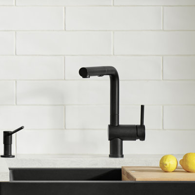 Linus Low Arc Pull-Out Dual-Spray Kitchen Faucet