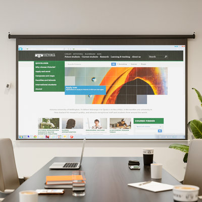 Inbox Zero Outdoor Electric Projector Screen Projector Screen
