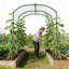 Garden Arch Trellis