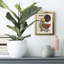 Contemporary Palm II - reproduction encadrée-52975016-52975020