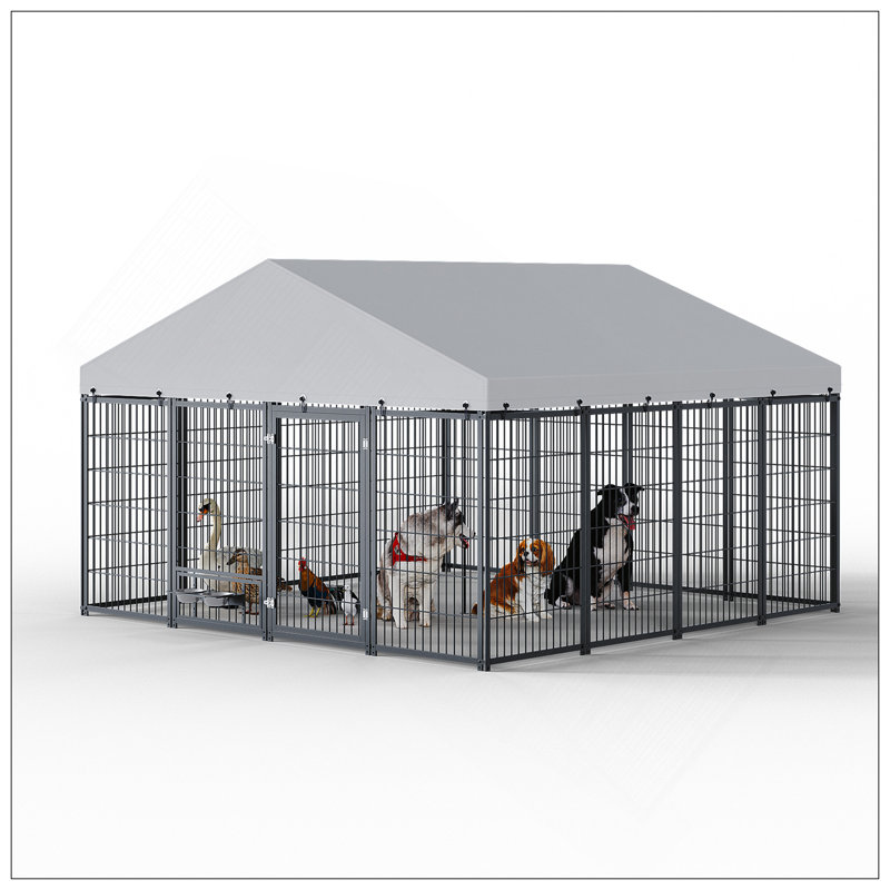 Grand enclos pour chien chenil pour l'extérieur, H 71,65 po x l 50 po x P 95,28 po