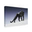 Yand «Black Panther Light», reproduction de peinture acrylique sur toile tendue-30362547