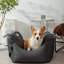  Siège d'auto pour chien First Class-1489915648