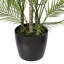 70,5 plante