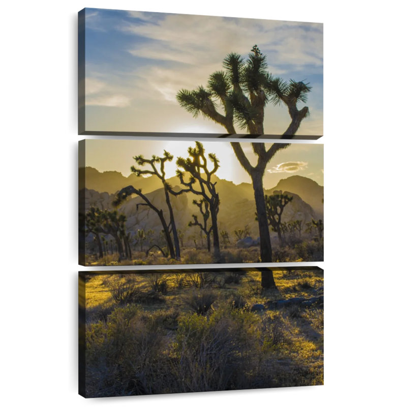 Harnek Joshua Tree Park Desert Field, 32" H x 20" W