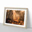 Forest in an Orange Glow - Framed Print-55577645-55577649