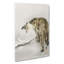Roaring Tiger by Ohara Koson - Wrapped Canvas Painting-55323151