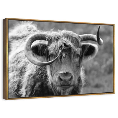 Monochrome Highland Cow