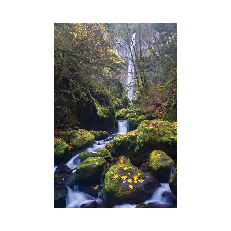 USA, Oregon. Autumn View Of Mccord Creek Flowing Below Elowah Falls In The Columbia River Gorge. by Gary Luhm - Wrapped Canvas Print