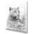 Toile tendue