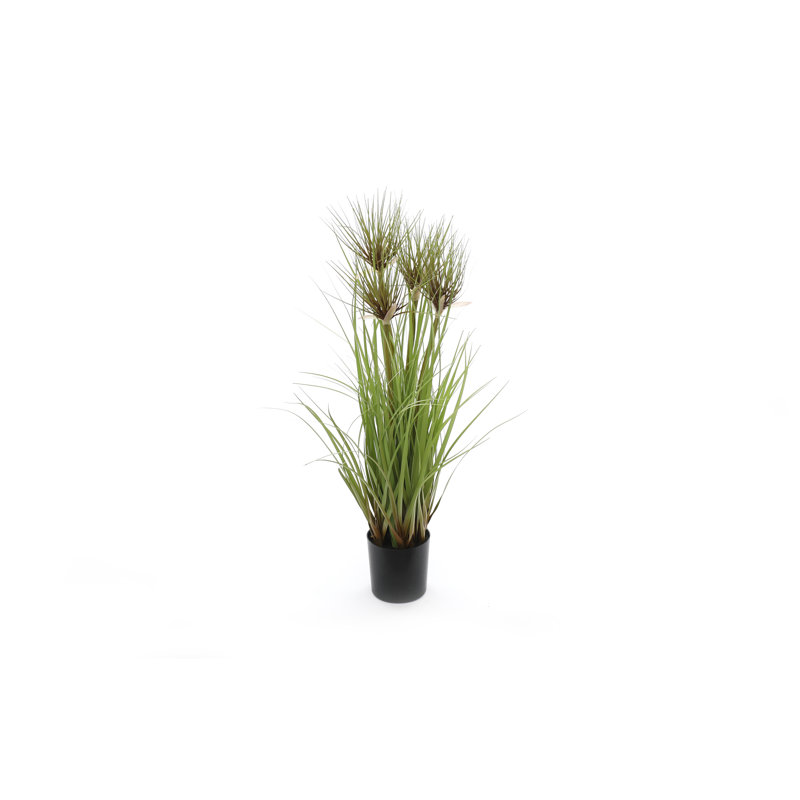Geko Reed Plant, 99" H x 12" W x 12" D