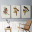Toile encadrée de qualité supérieure Elegant Trogons I - prête à être accrochée-69981906-69981909