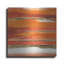 Brayden Studio 'Gilded Mandarin II' by Chris Paschke, Metal Wall Art-279885618
