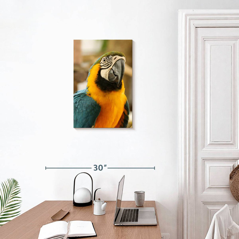 Brampt Exotic Macaw, 24" H x 16" W