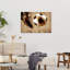 Dynamic Soccer Kick Contemporary Wall Art Print-1604837269