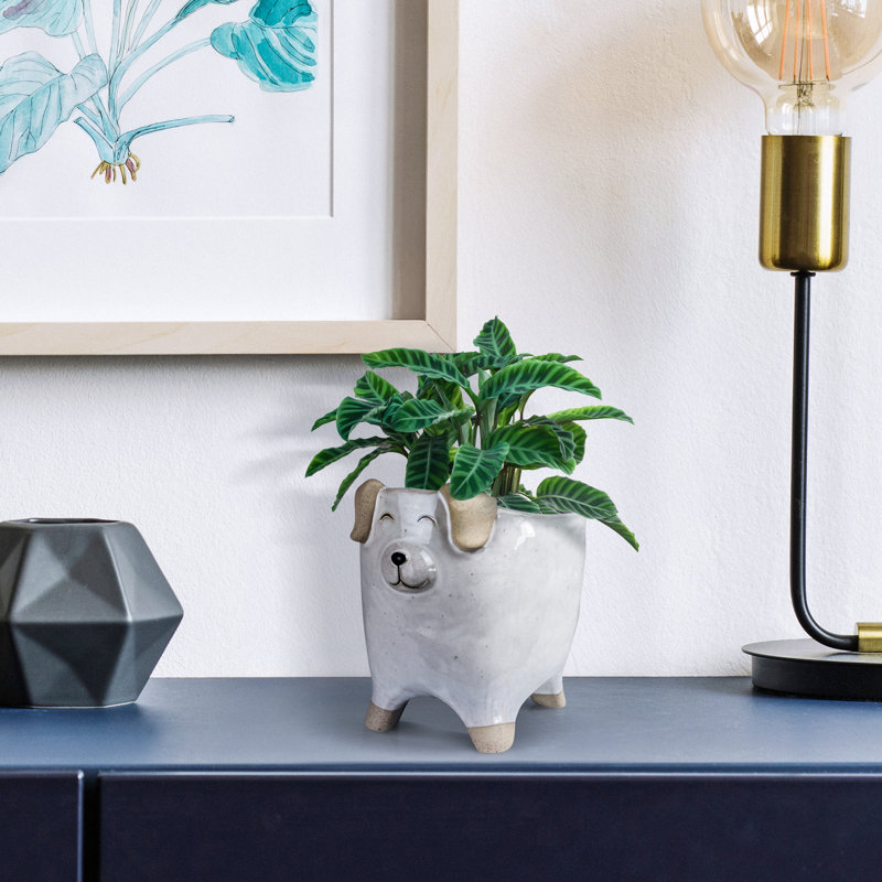 Cache-pot pour chien