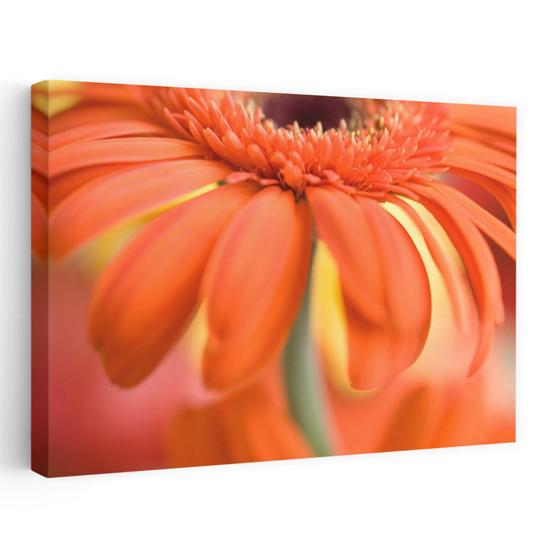 «Layered In Red II», art floral contemporain délicat et vibrant, H 24 po x l 36 po