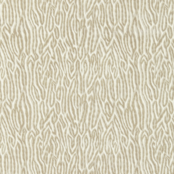 Tissu Merchante, Brouillard