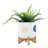 S/2 5/8" Funky Planter W/ Stand