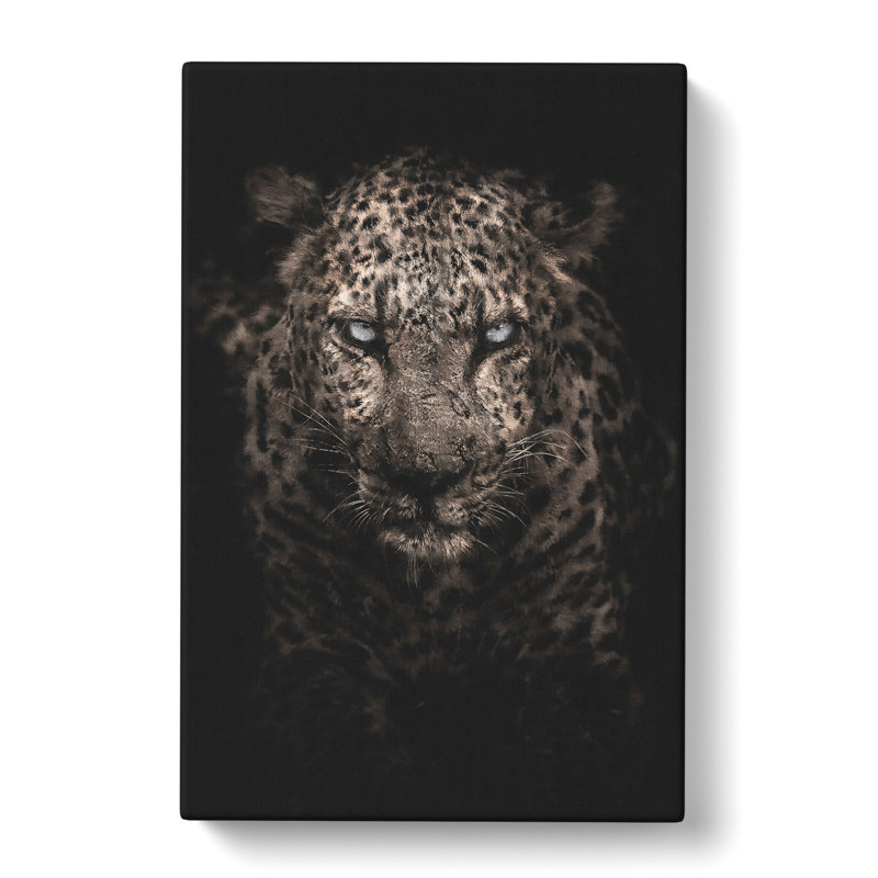 Leopard In The Dark - Wrapped Canvas, 76cm H x 50cm W x 3cm D