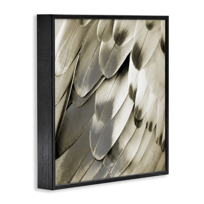 «Elegant Feathers Close Up», art de la giclée encadrée par Julia Bosco