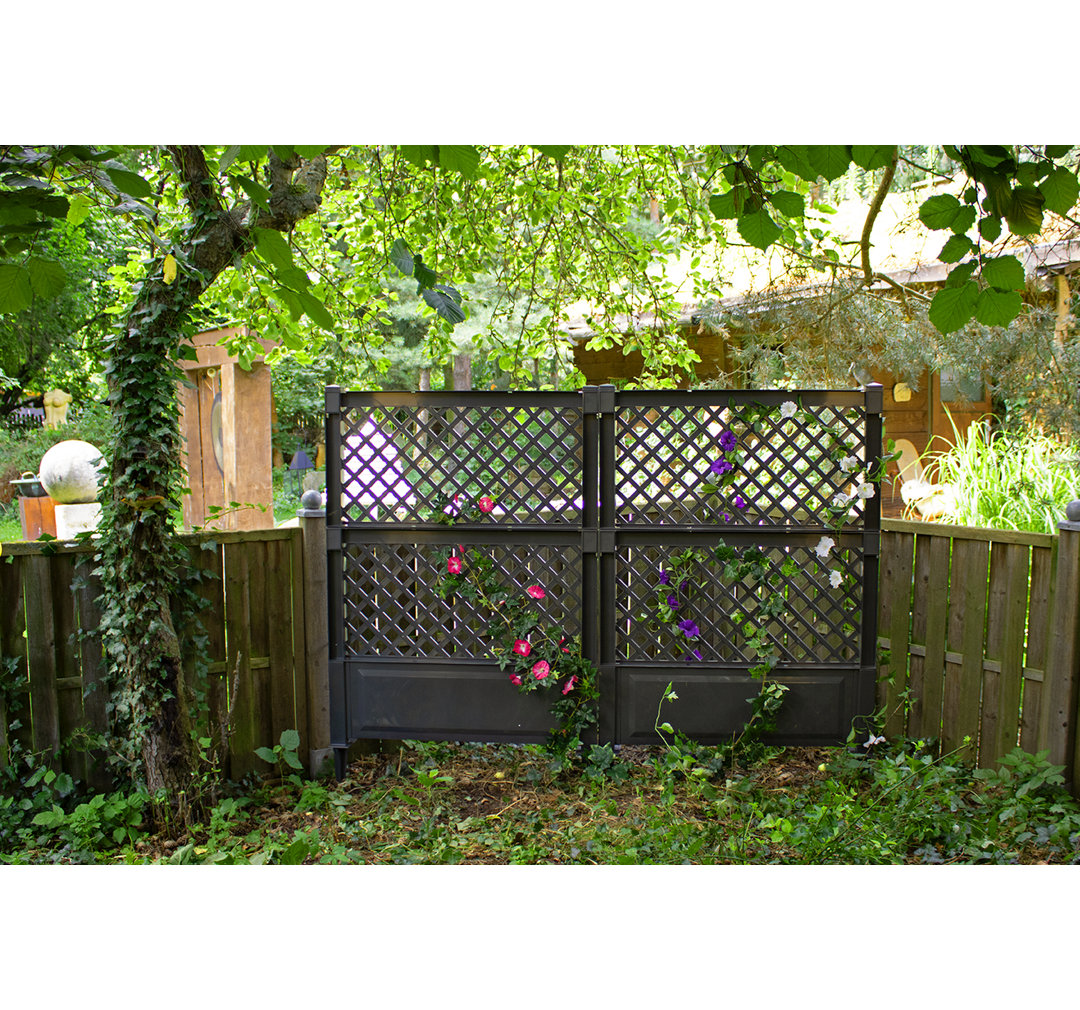 140cm H x 100cm W Plastic Expanding Trellis