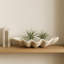 Bol décoratif Bequette-127047625
