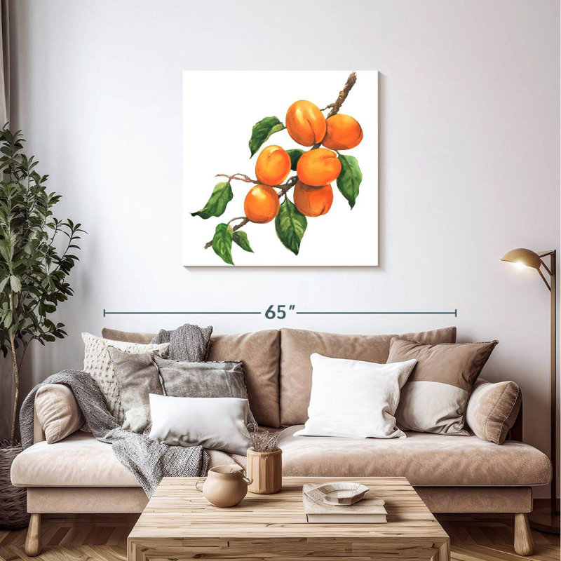 Yarlin Ripe Apricots