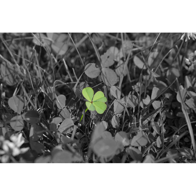 Four Leaved Clover by Tobias_K - Wrapped Canvas Print, 81cm H x 122cm W