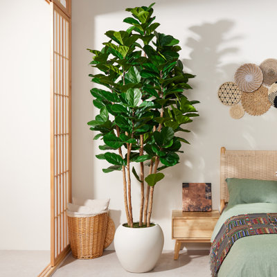 8ft Artificial Fiddle Leaf Fig Tree With Real Wood Trunk And Large White Planter, Faux Fiddle Leaf Fig Plant For Living Room Office Home Decor