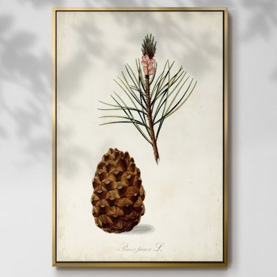 Étude d'arbre antique V