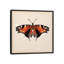 «Butterfly Study V», impression sur toile-29480749-73648881-73648882