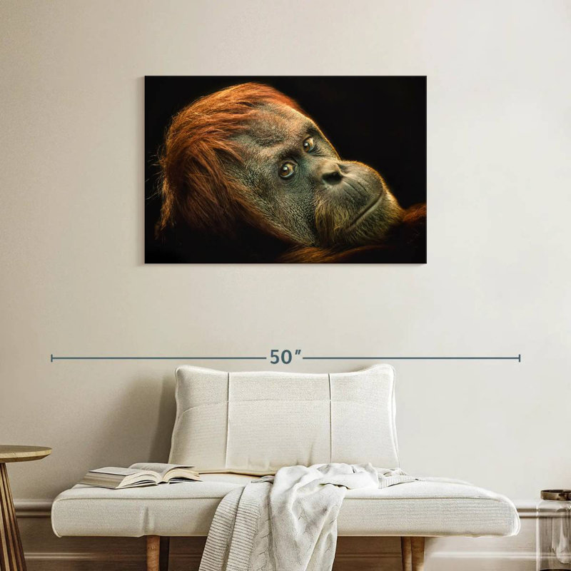 Brampt Dramatic Orangutan, 24" H x 36" W