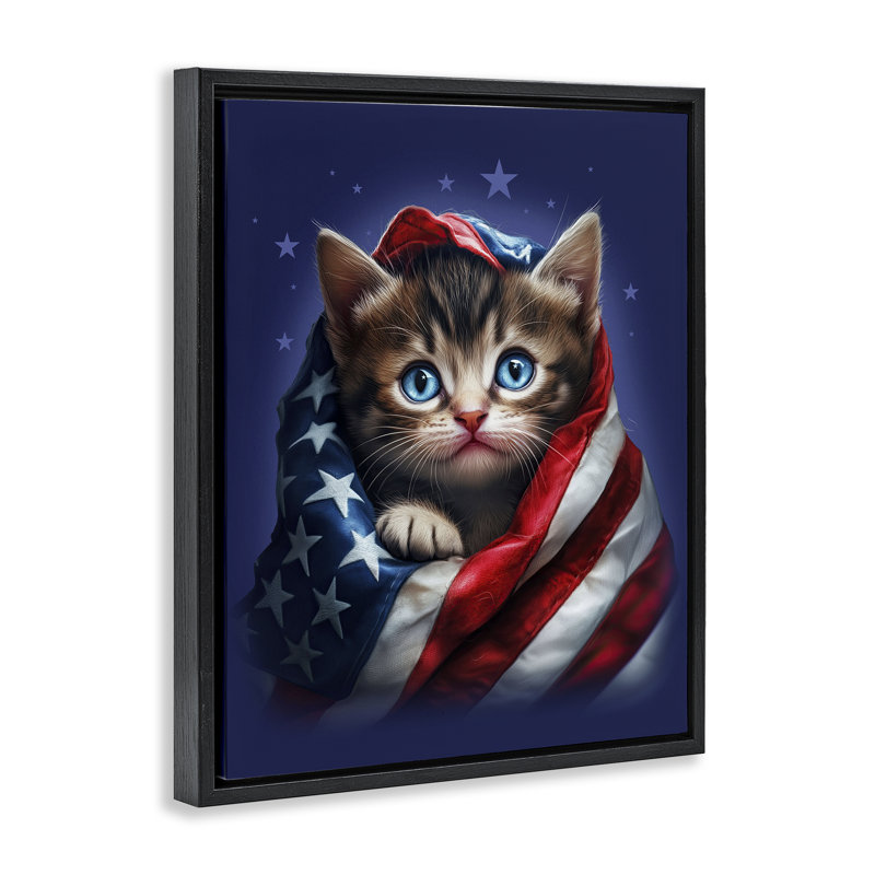 Cadre flottant patriotique pour chaton, design par Jim Baldwin, H 21 po x l 17 po, Cadre flottant noir de jais