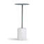 Table basse Dexter Lily