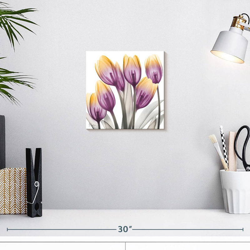 Harnek Sunrise Tulips II, H 10 po x l 10 po