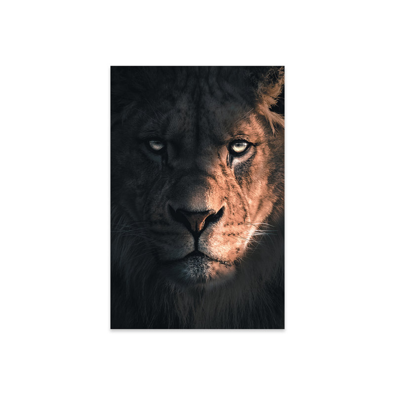 Portrait de lion sur plastique / acrylique par Zenja Gammer, peinture