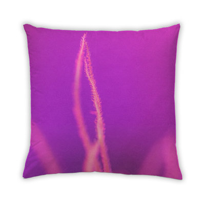 Coussin Color Focus