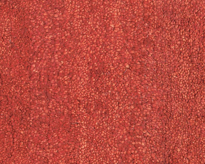 Sprouts Wool Area Rug in Red, Rectangle 10' x 14'
