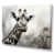 Wrapped Canvas