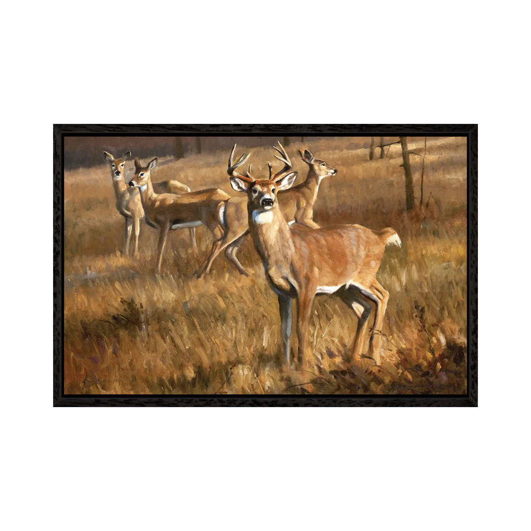 Whitetail Deer von Grant Hacking - Giclée auf Leinwand in der Galerie