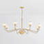St. lawrence 8 Light Chandelier