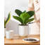 HDHPOT Ceramic Pot Planter-1607730066