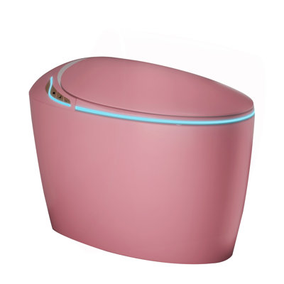 Unique Smart Toilet With Bidet Built In